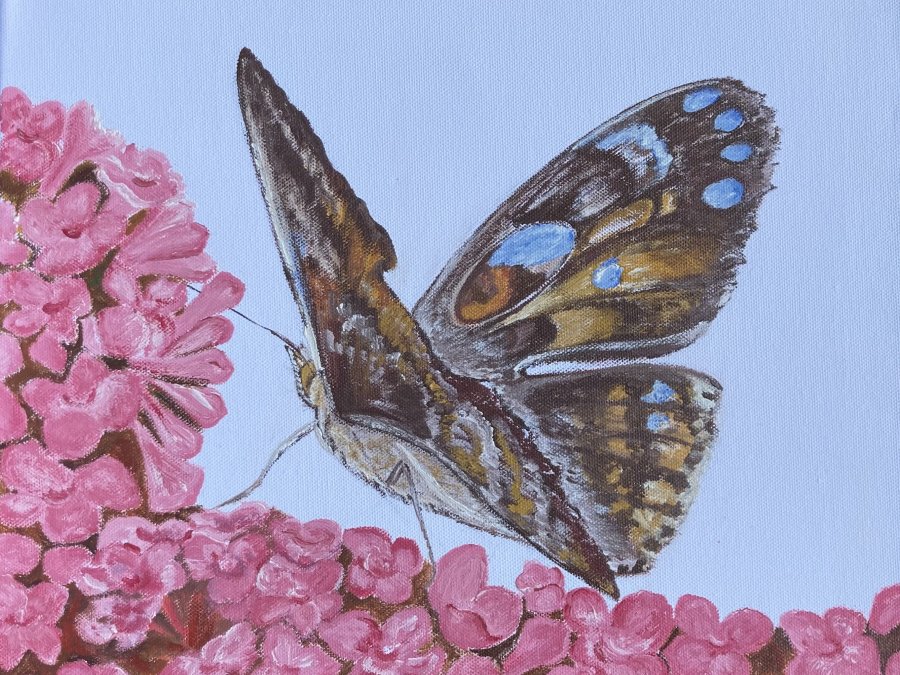 IVETA KLEINOVÁ – NA KŘÍDLECH MOTÝLŮ