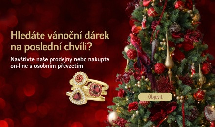 Hledáte vánoční dárek na poslední chvíli?