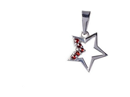 Silver pendant with czech garnet, rhodium plated - star                                             