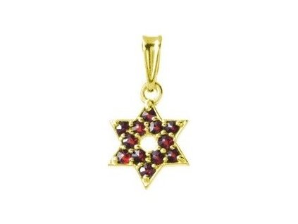 Silver pendant with czech garnet, gold plated - star                                                