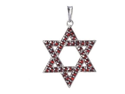 Silver pendant with czech garnet, rhodium plated - star                                             