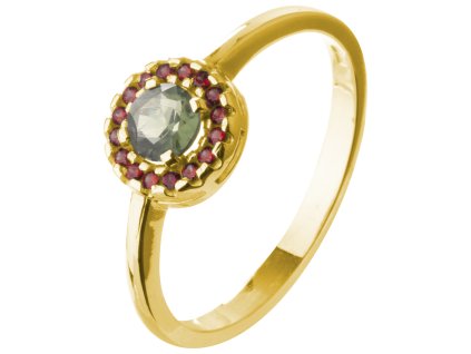 Silver ring with czech garnet and moldavite, gold plated - circle                                   