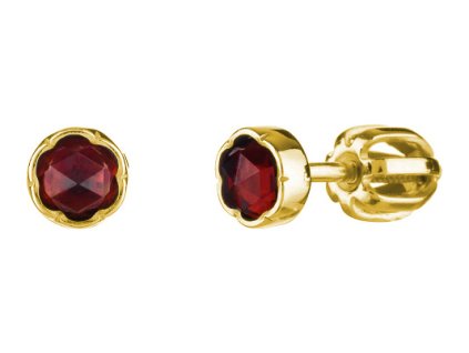 Silver earrings with czech garnet, gold plated                                                      