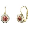 Gold earrings with czech garnet and diamond - circle