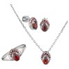 Set of silver jewellery 1445 with czech garnet, rhodium plated - drop