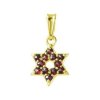 Silver pendant with czech garnet, gold plated - star                                                