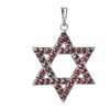Silver pendant with czech garnet, rhodium plated - star                                             