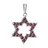 Silver pendant with czech garnet, rhodium plated - star                                             
