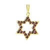 Silver pendant with czech garnet, gold plated - star                                                