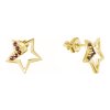 Silver earrings with czech garnet, gold plated - star                                               