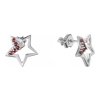 Silver earrings with czech garnet, rhodium plated - star                                            