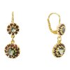 Silver earrings with czech garnet and moldavite, gold plated - flower                               